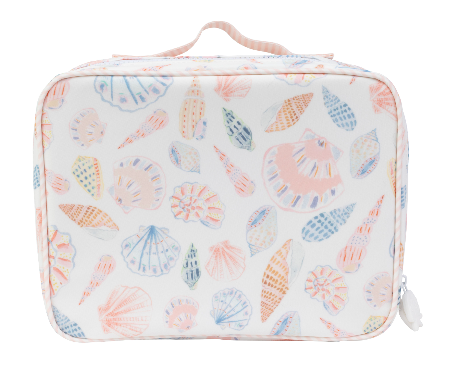 The Lunchbox in Shells